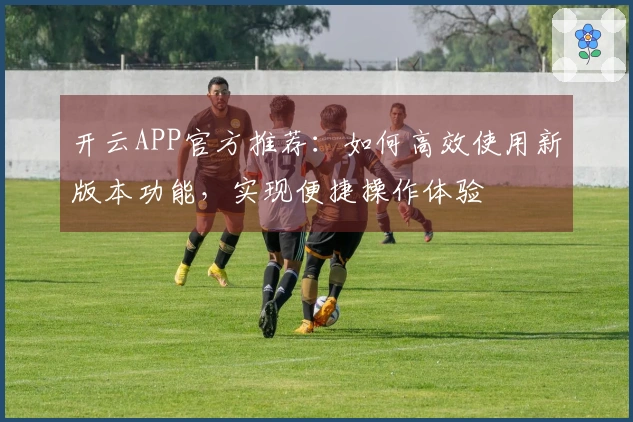 开云APP官方推荐：如何高效使用新版本功能，实现便捷操作体验