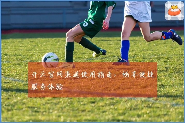 开云官网渠道使用指南，畅享便捷服务体验