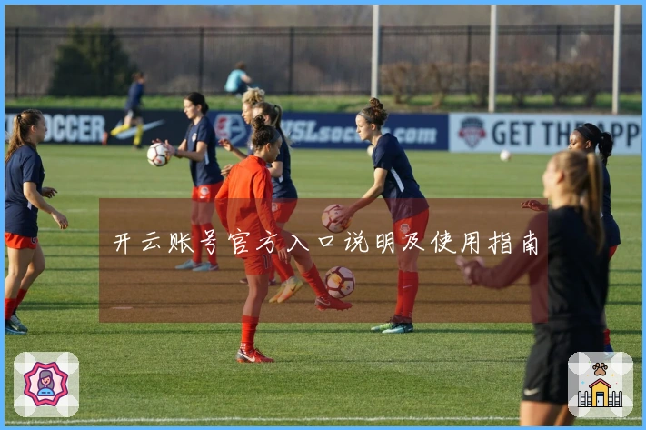 开云账号官方入口说明及使用指南