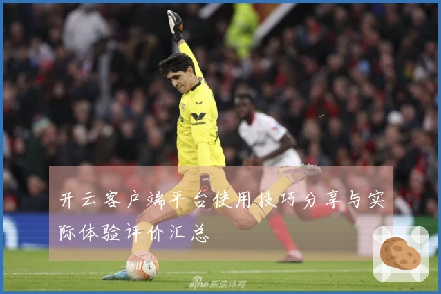 开云客户端平台使用技巧分享与实际体验评价汇总